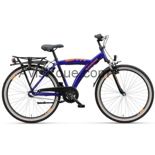 Batavus Snake fiche technique et avis